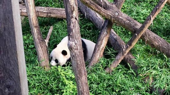 11755908_951453018895_7754563146977065027_n